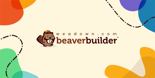 Beaver Themer - WordPress Theme Builder